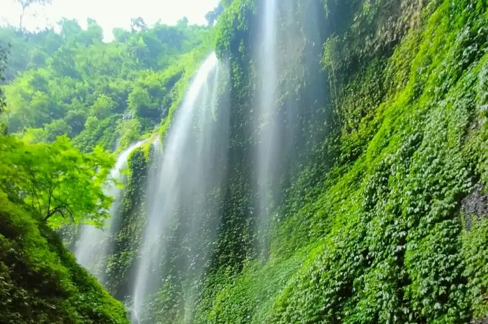 Air Terjun Madakaripura