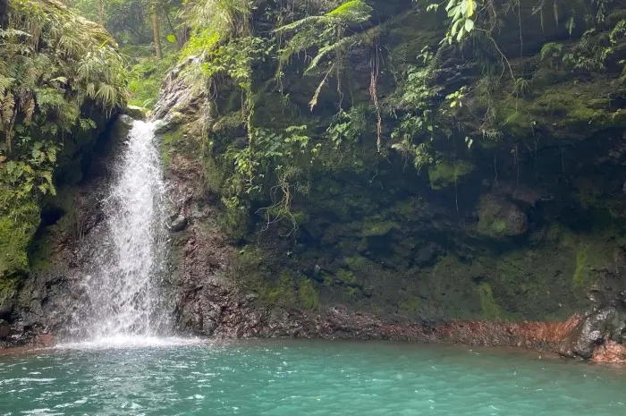Tempat Wisata di Bogor yang Cocok Liburan Keluarga untuk Pengalaman Edukatif