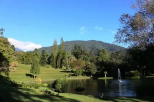 Tempat Wisata di Jawa Barat yang Menawarkan Pengalaman Unik untuk Liburan Anda